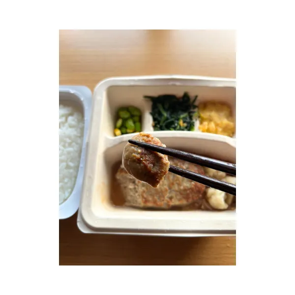 ご飯とオニオングリルハンバーグ