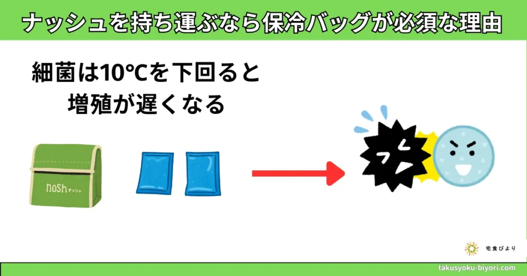 ナッシュを持ち運ぶなら保冷バッグが必須な理由
